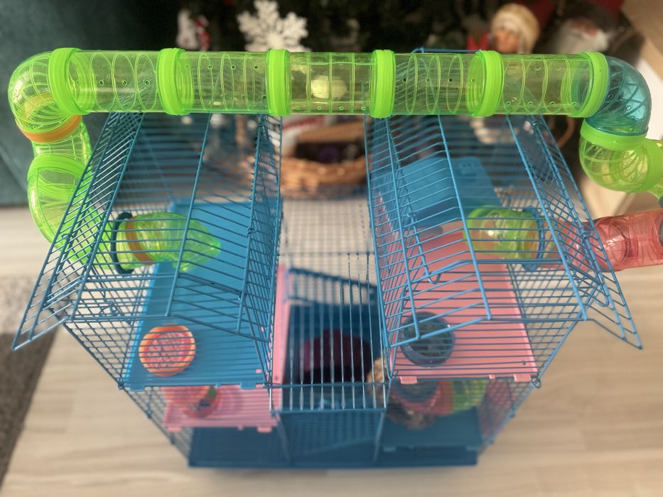 Vând cușcă hamster cu accesorii + un sac de așternut sigilat