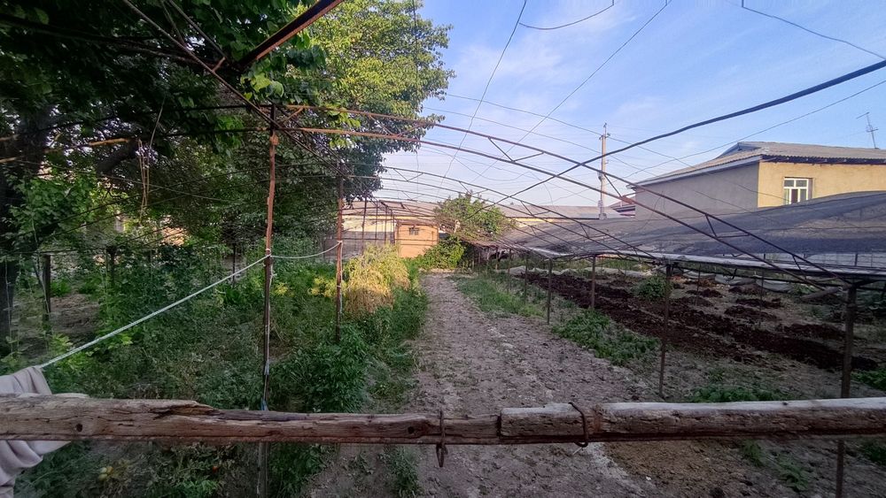 Тепелитса sotiladi