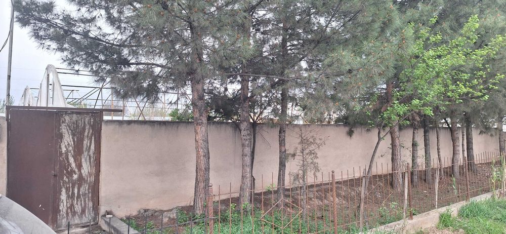 Hovli uchun yer Mirmiron mahalladan