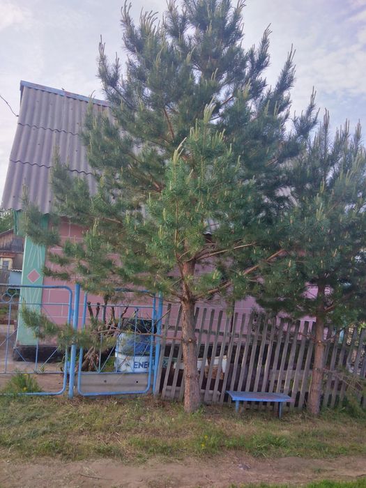 Продаётся дача,район Куленовка