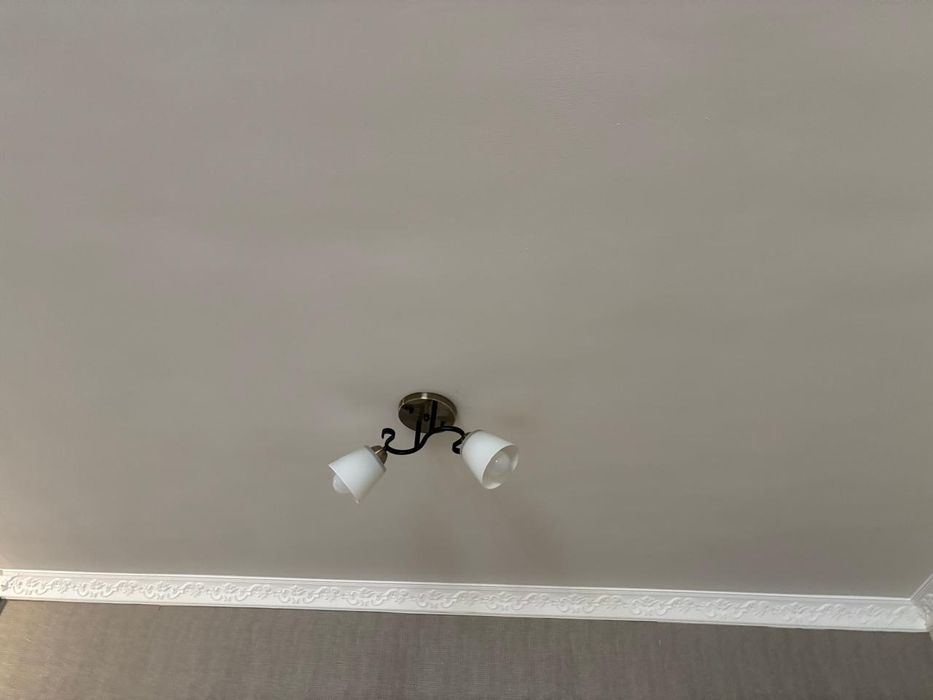 Люстра люстры 2шт  рожковая плафоны