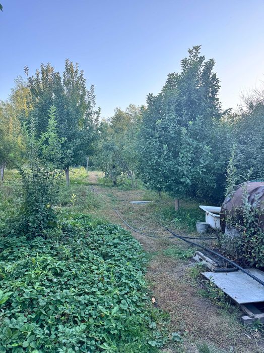 Продам дачу Восход в хорошем месте