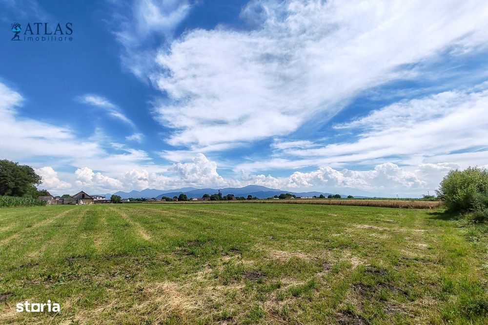 Loturi rezidențiale Cavalului, 500-700 mp, PUZ, utilități, Stupini