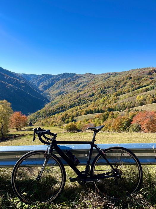 Cursiera carbon Ultegra 7.8kg 52cm