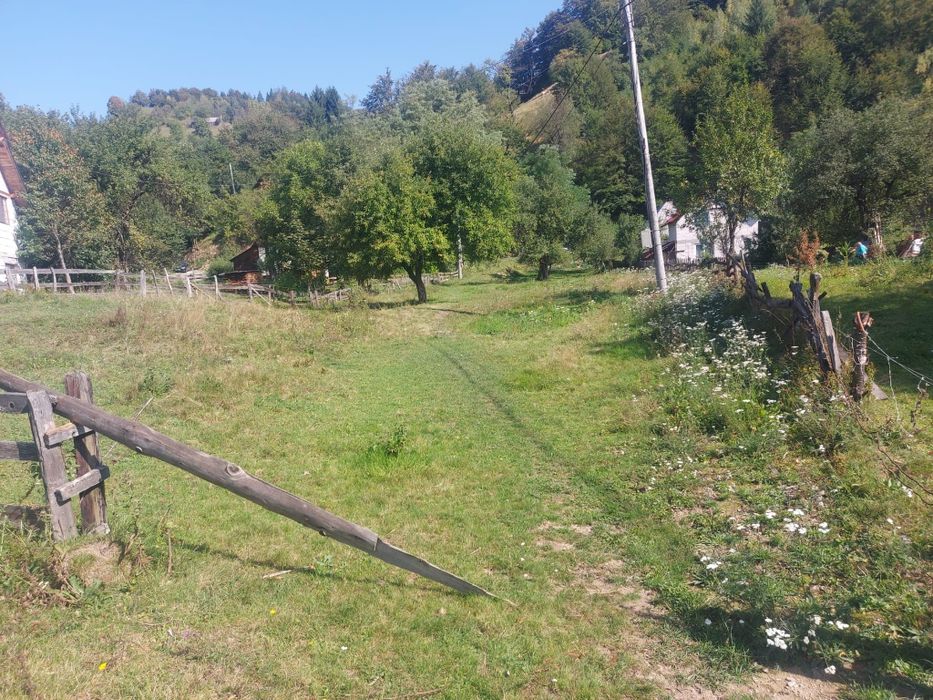 Teren Avram Iancu Jud Alba