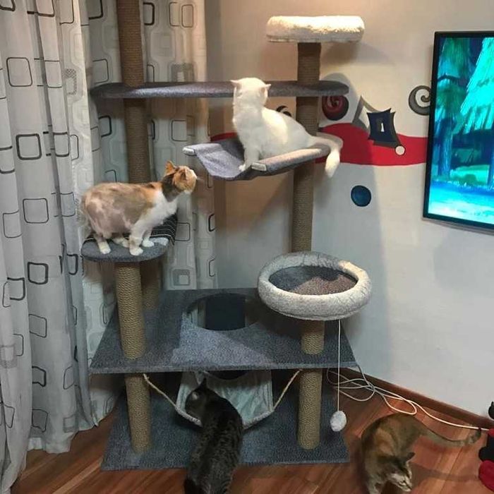 Домик для кошки.