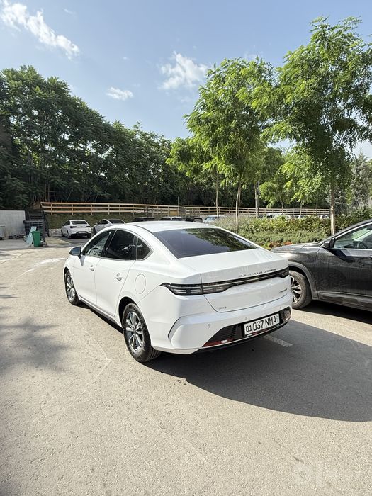 BYD CHAZOR 2024 55km