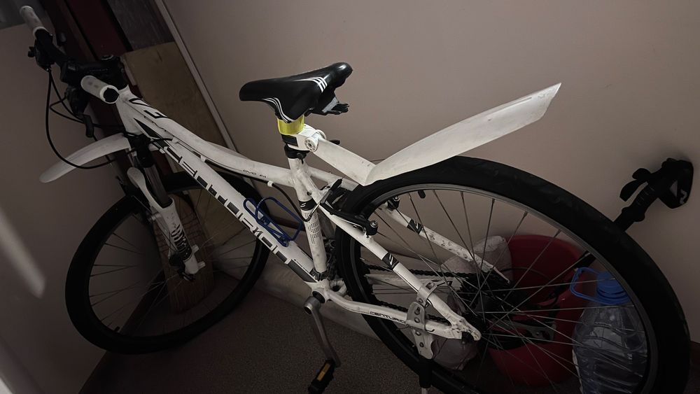 Велосипед CENTURION Eve E4