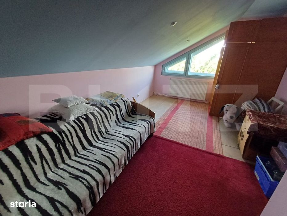 Casa cu 8 camere, 400 mp, 15 ari teren, Salcea