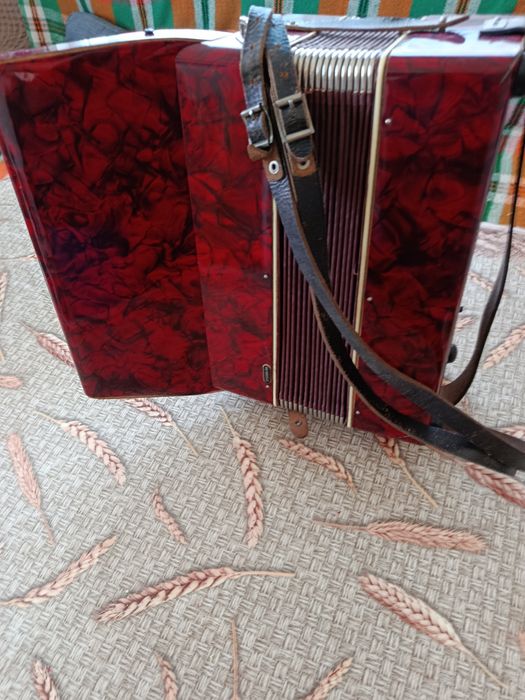 Детски акордеон велтмаистер.