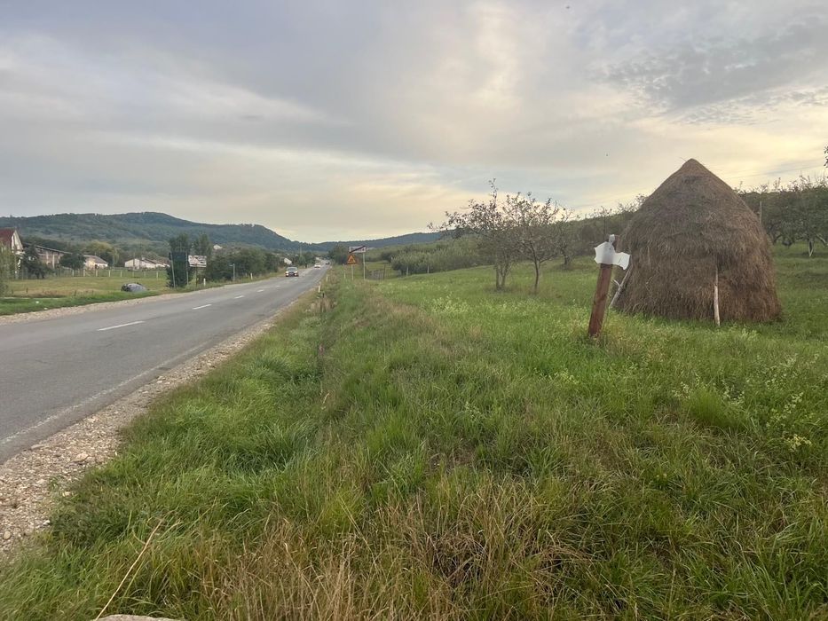 Teren de vânzare – 10 ari în Dumitra, poziție deosebită