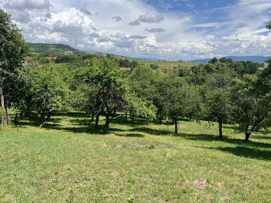 Vand casa plus gradina 68 ari