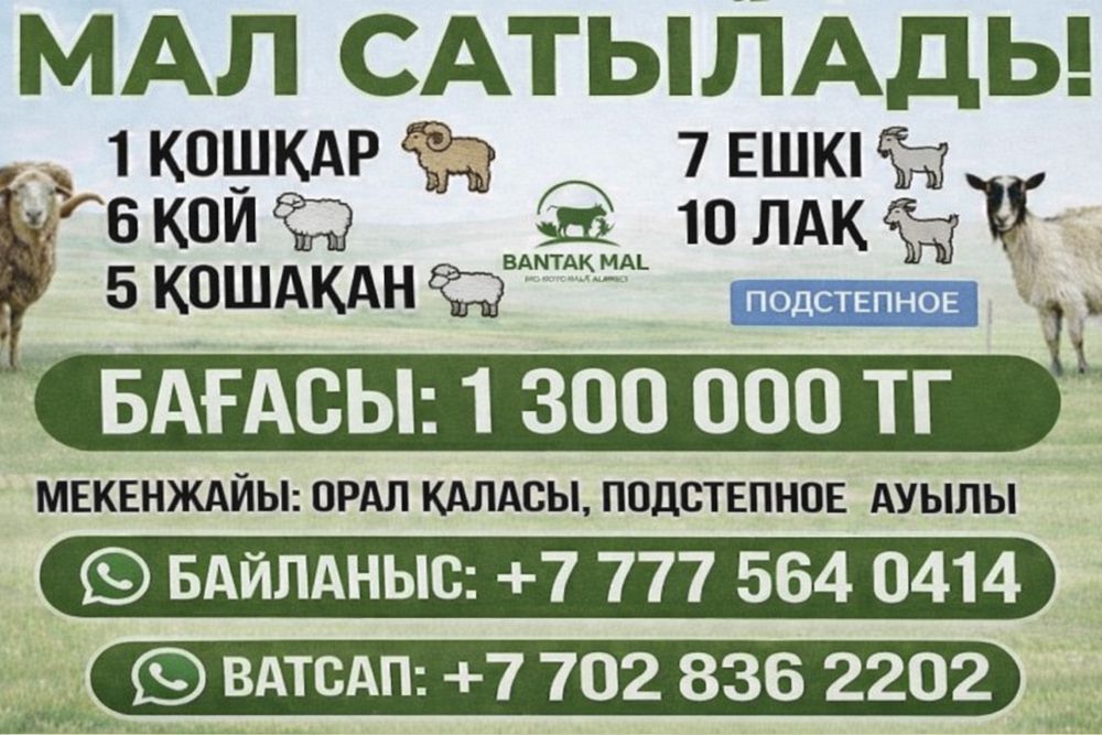 Қой ешкілер сатылады