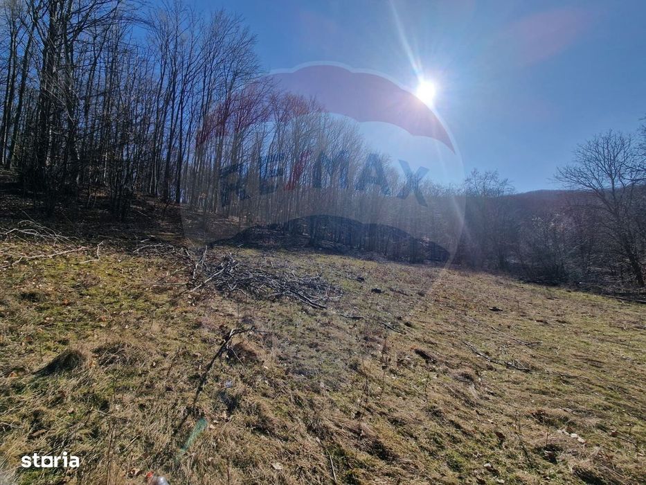 Teren de Vânzare în Pâncești (Sascut)