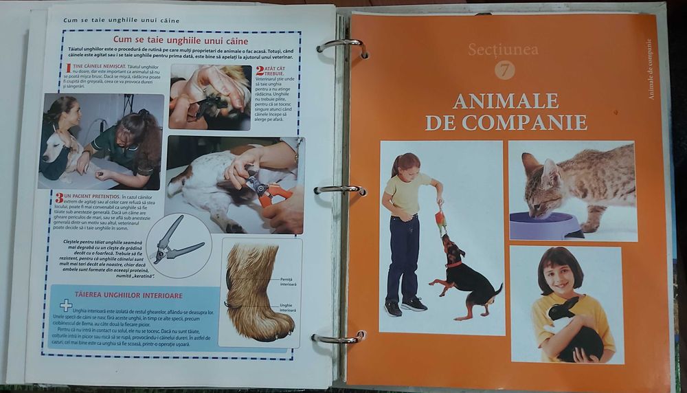 Numere Educaționale pentru Copii din seria "Animalele Planetei"