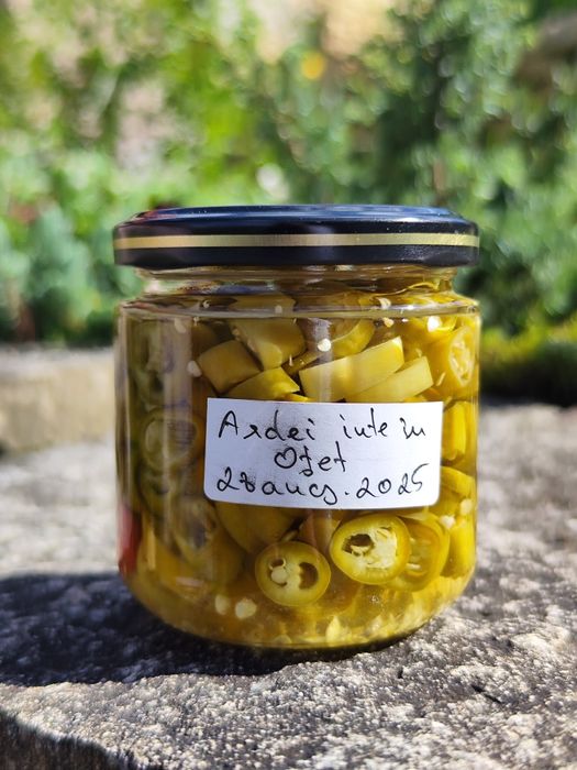 Zacusca, murături și alte conserve pt iarna