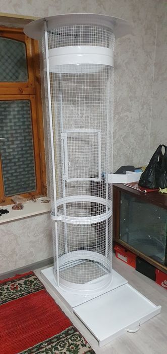 Клетка для птиц, попугай и неразлучники