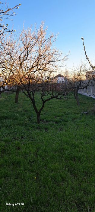 proprietar, vând casă pe stradă liniștită