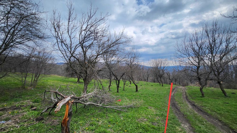 Teren 4.400 mp – Comarnic | liniște, priveliște și intimitate! [ 25€ NEGOCIABIL ]