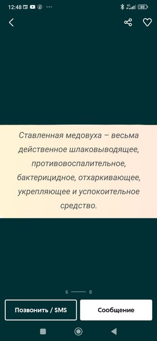 Мёд. Ферментированный Ме́довуха