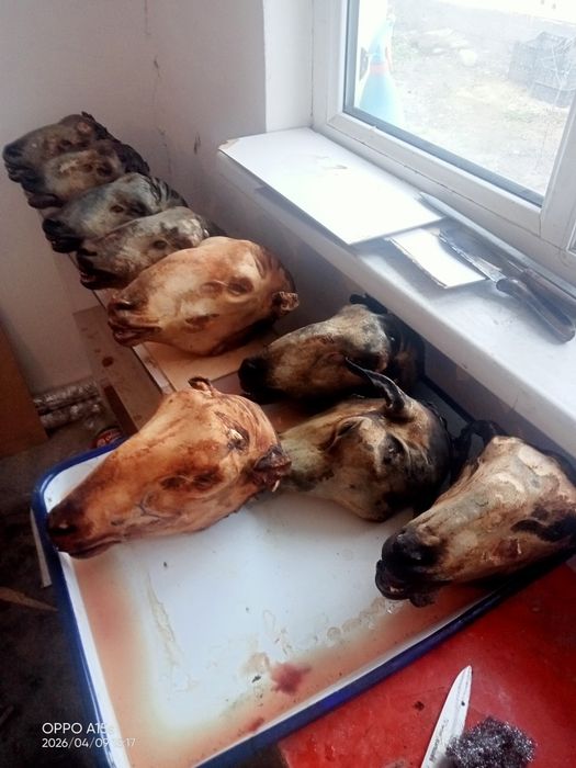 Қойдың басы сатылады