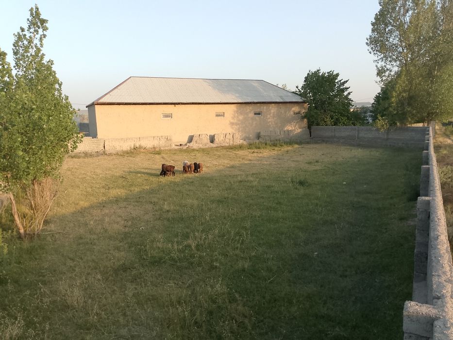 Yer uchastka Uy joy sotiladi qorateri qishlogʻi