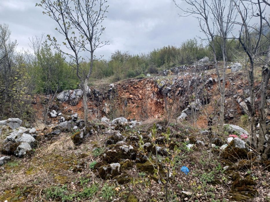 Продава се Парцел в с. Паволче, Област Враца - 2365 кв.м за 20 €/кв.м - Снимка #8