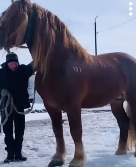 КВАРЦЕВЫЙ ПЕСОК для конюшни, спортплощадок