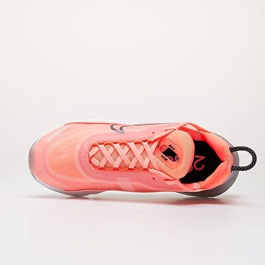 Nike W Air Max 2090