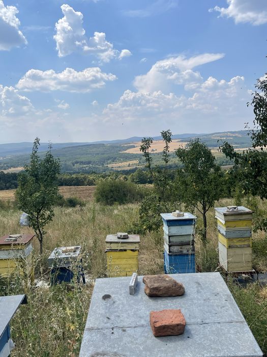 Продава се Къща в София, Студентски град - 45 кв.м за 623 €/кв.м - Снимка #5