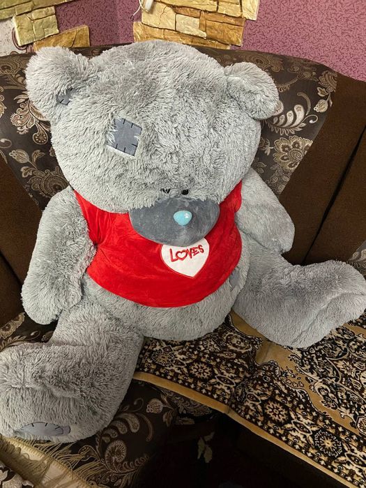 Kattaga teddy ayiq