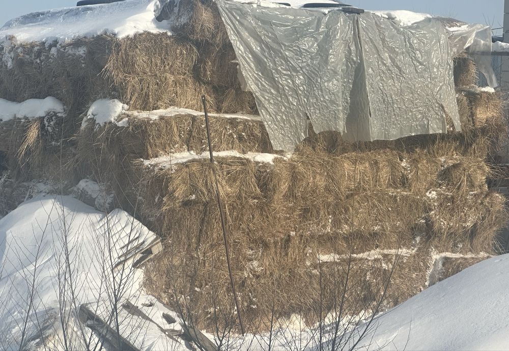 Продам сено в тюках