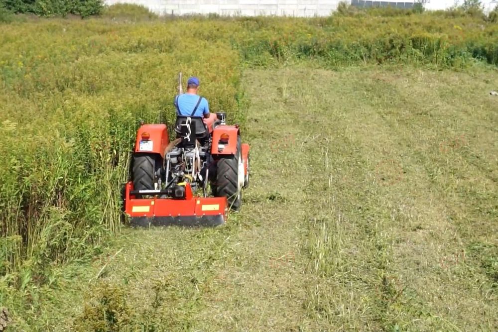 Tai tund defrișez terenuri de iarbă, bălării, ambrozie în Timișoara