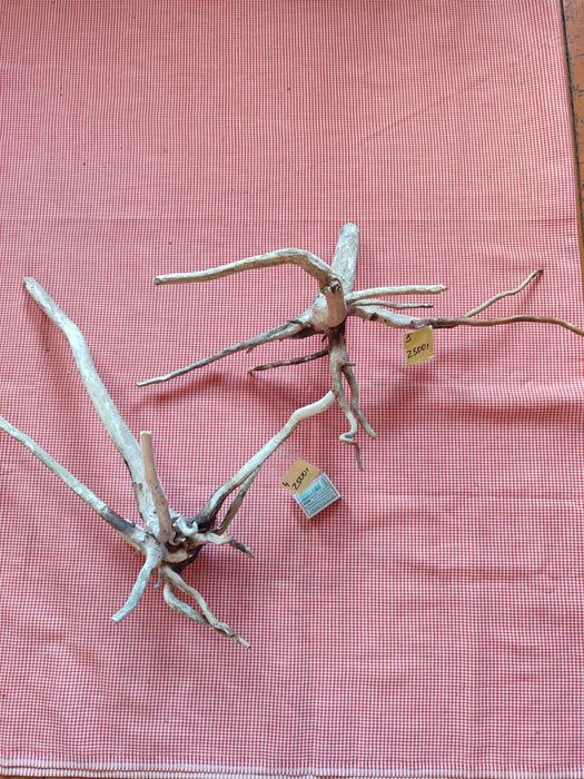 Коряги для поделок или аквариума