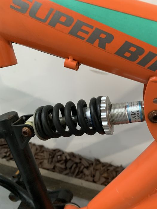 Bicicleta rich alpin