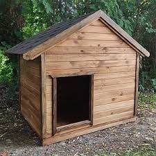 Будки для всех пород