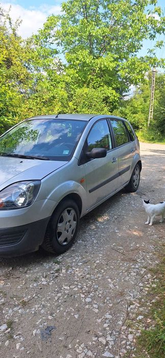 Vand Ford Fiesta