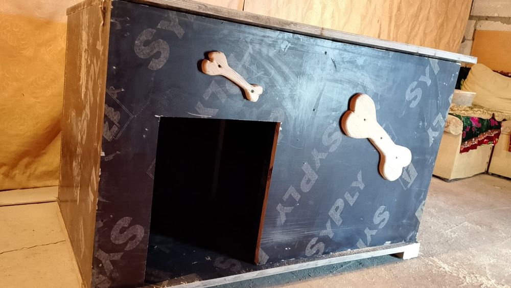 Иттің ұйымы салылады