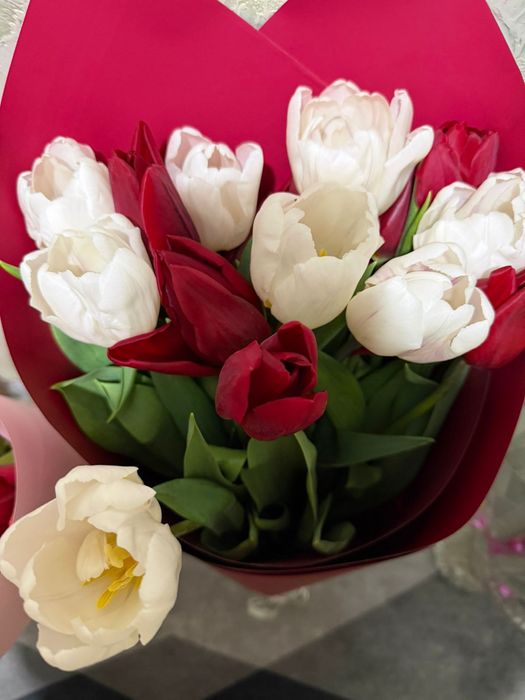 Свежие тюльпаны разные