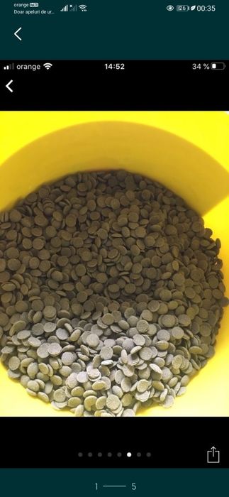 Hrana pesti de orice tip la kg.