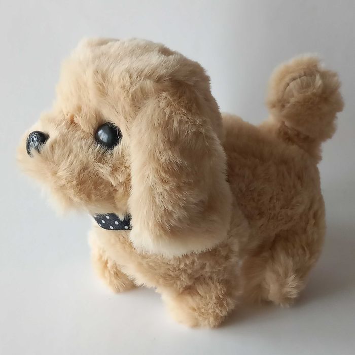 Играчка подскачащо пиле механична