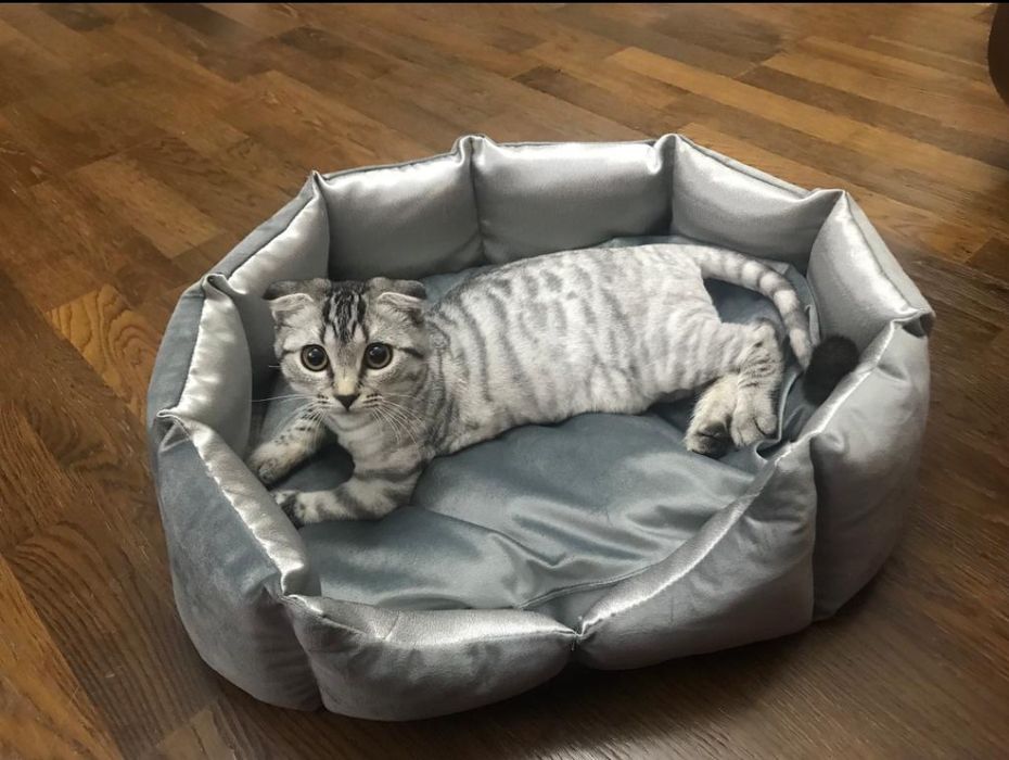 Лежанка для кошек