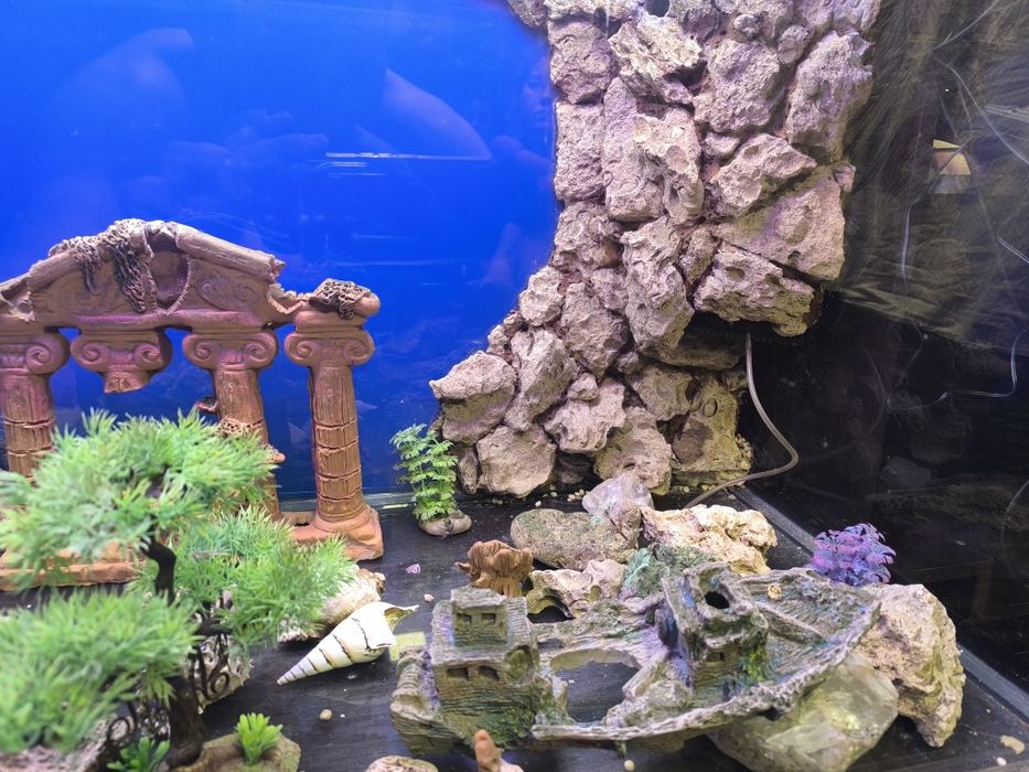 Аквариум на 350 литров