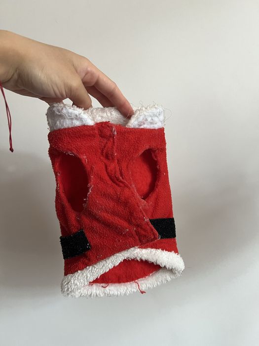 Одежда для собак