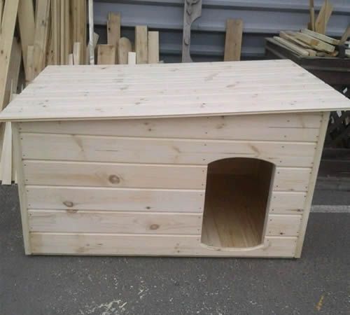 Бутка для сабака , и домик сабачнй