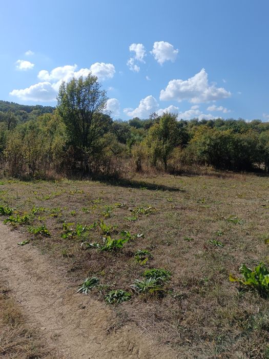 Teren  1000 mp, județul Sibiu, localitatea Amnas, pretabil A frame