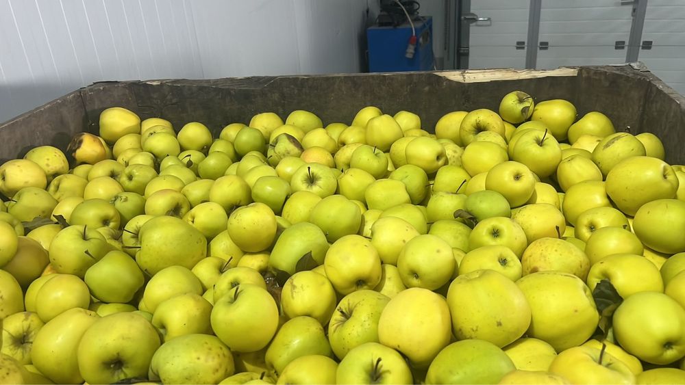 Mere       de      consum