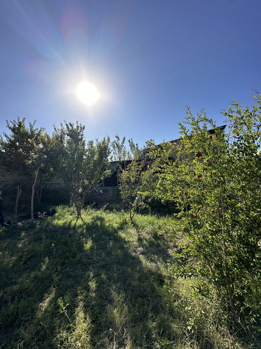 Ховли сотилади 6 сотих