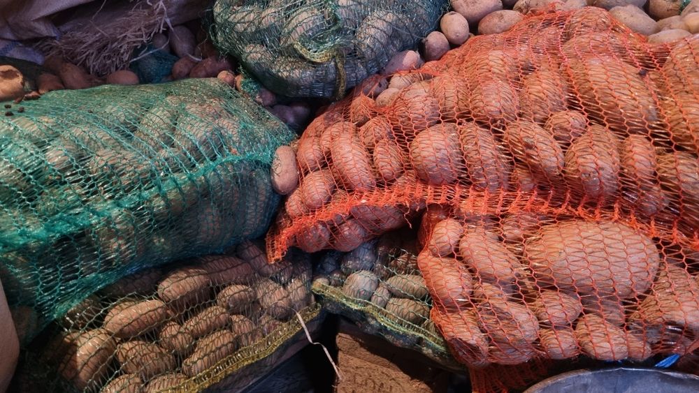 Cartofi pentru animale