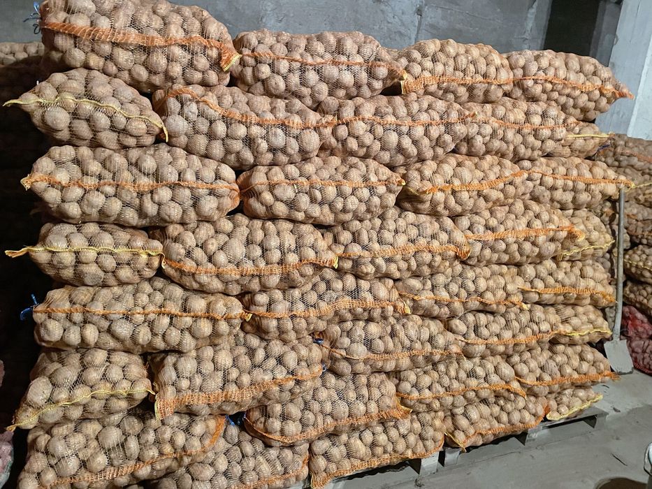 Cartofi consum Alb (0,7 lei) Vineta